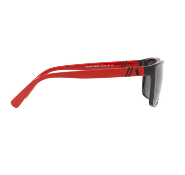 Pareja de Varillas Polo Ralph Lauren PH4133 5001/87