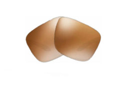 Pareja de Lentes de Recambio Oakley OO9102 Holbrook Prizm Tungsten Polarized