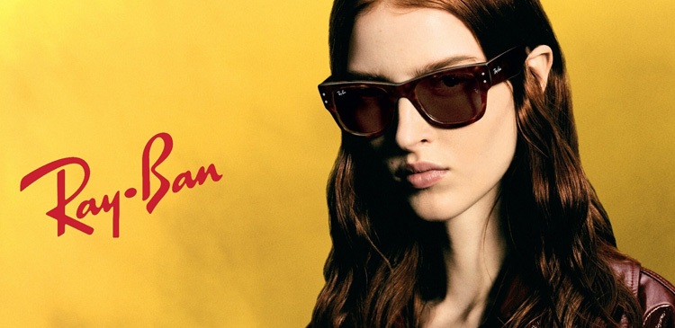 Ray-Ban glasses 2025