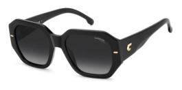 CARRERA 3109/S