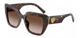 502/13