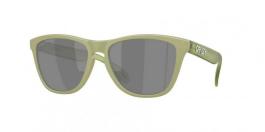 OO9013 FROGSKINS