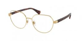 RA6065 