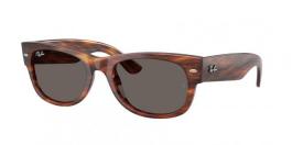 RB0832S MEGA WAYFARER II