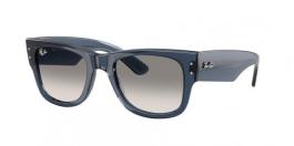 RB0840S MEGA WAYFARER