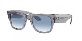 RB0840S MEGA WAYFARER