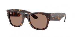 RB0840S MEGA WAYFARER
