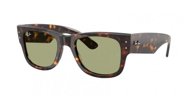 RB0840S MEGA WAYFARER