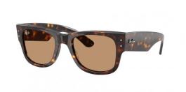 RB0840S MEGA WAYFARER