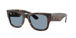 RB0840S MEGA WAYFARER