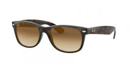 RB2132 NEW WAYFARER