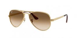 RB3925 AVIATOR MAX