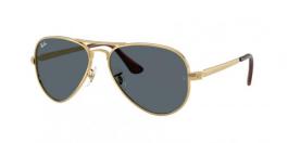 RB3925 AVIATOR MAX