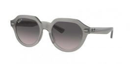 RB4399 GINA