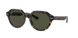 RB4399 GINA