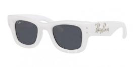 RB4940B WAYFARER PUFFER