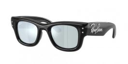 RB4940B WAYFARER PUFFER