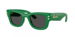 RB4940KG WAYFARER PUFFER