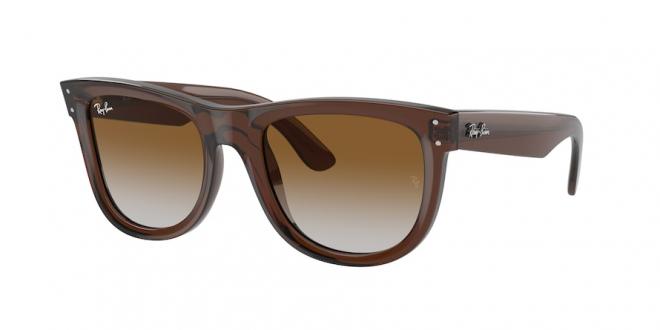 RBR0502S WAYFARER REVERSE