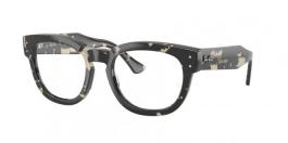 RX0298V MEGA HAWKEYE