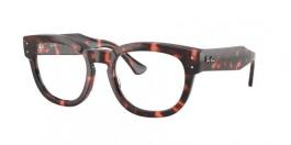 RX0298V MEGA HAWKEYE