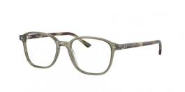 RX5393 LEONARD