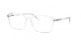 RX5431 RAIMOND