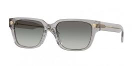 VE4513D 