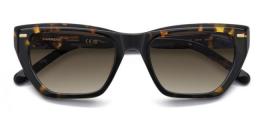 CARRERA 3081/S